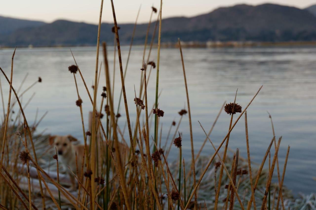 Quechua Lodge Titicaca Puno Kültér fotó